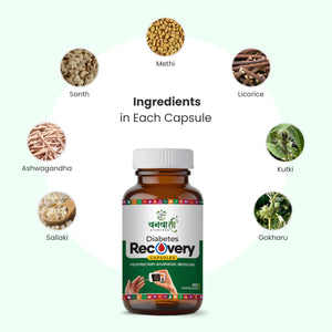 Vanvasi Ayurveda Diabetes Recovery Capsules combine Ashwagandha, Sonth, and Methi to naturally manage blood sugar levels. This ayurvedic diabetes capsule supports glucose metabolism, reduces fatigue, improves digestion, and promotes energy. A trusted diabetes care capsule for balanced living.