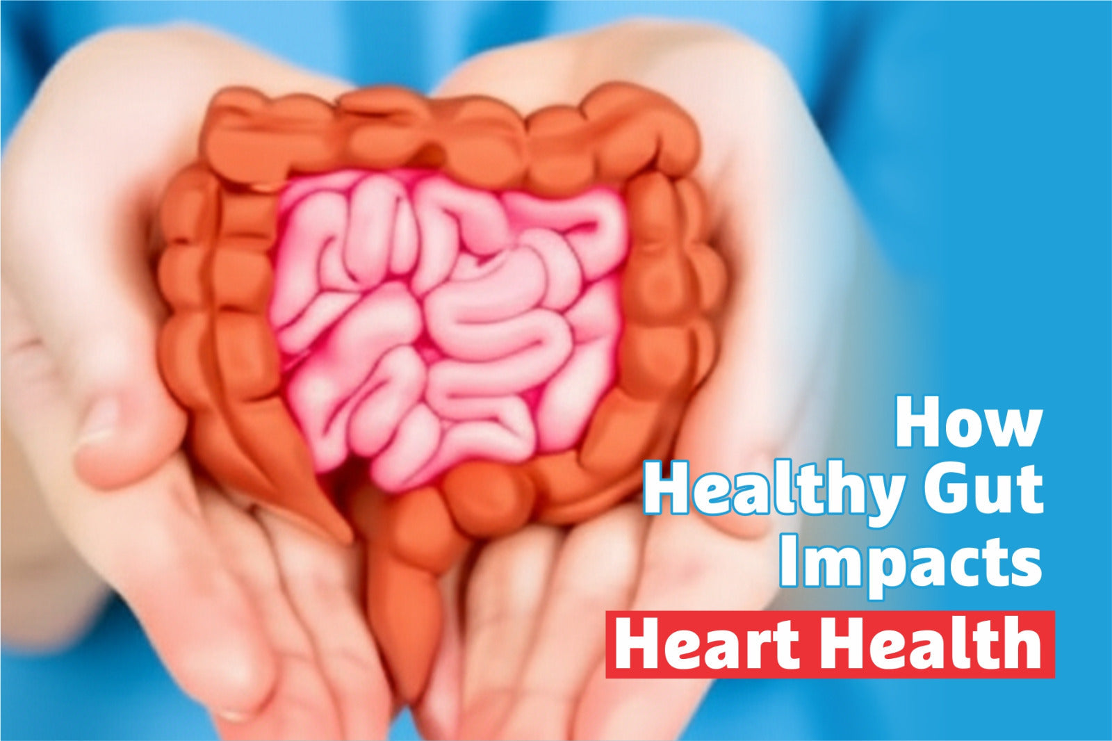 How Healthy Gut Impacts Heart Health
