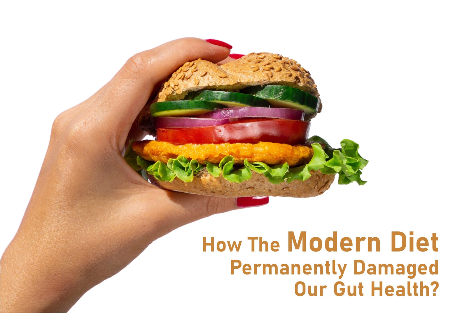 How The Modern Diet Permanently Damaged Our Gut Health?