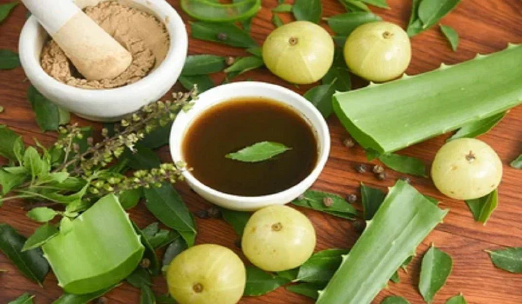 Rejuvenate Your Hair with Amr Kesh Taila from Vanvansi Ayurveda
