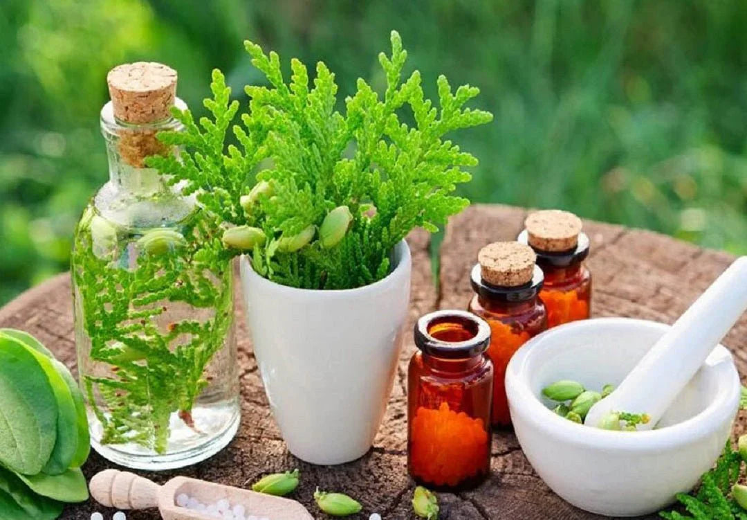 Benefits of Buying Ayurvedic Products Online