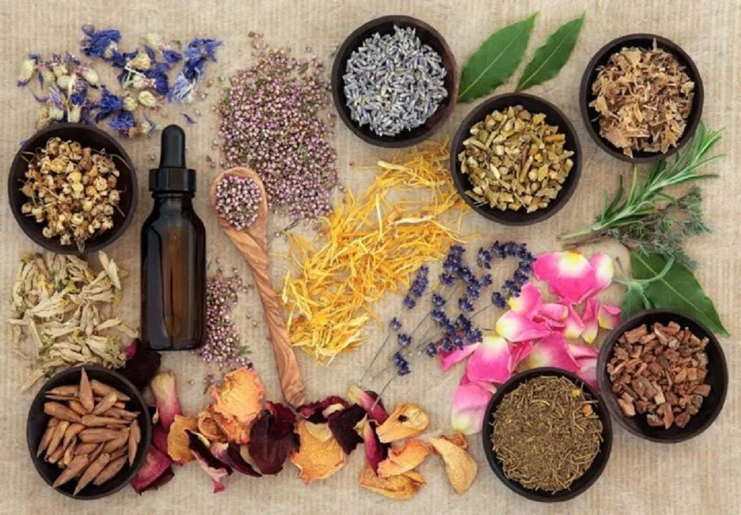 Buy Ayurvedic Medicines Online:Your Gateway to Natural Health