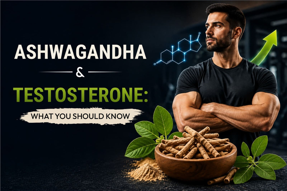 Ashwagandha and Testosterone: What You Should Know