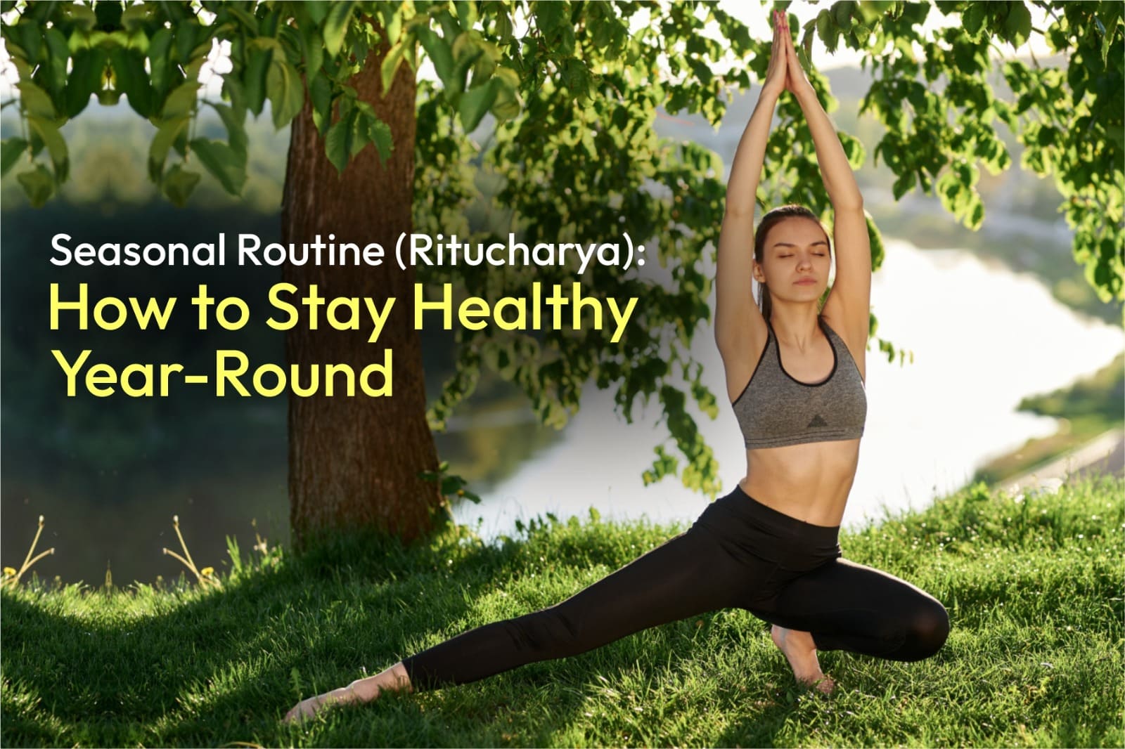 Seasonal Routine (Ritucharya): How to Stay Healthy Year-Round