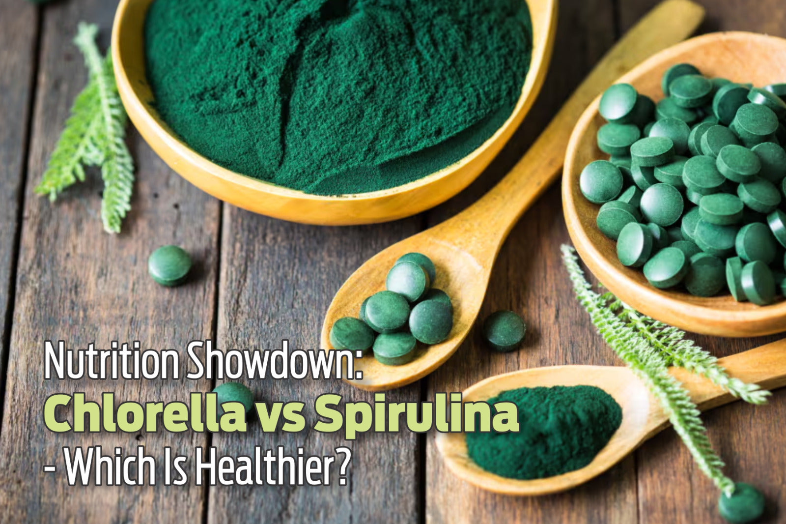 Nutrition Showdown: Chlorella vs Spirulina — Which Is Healthier?