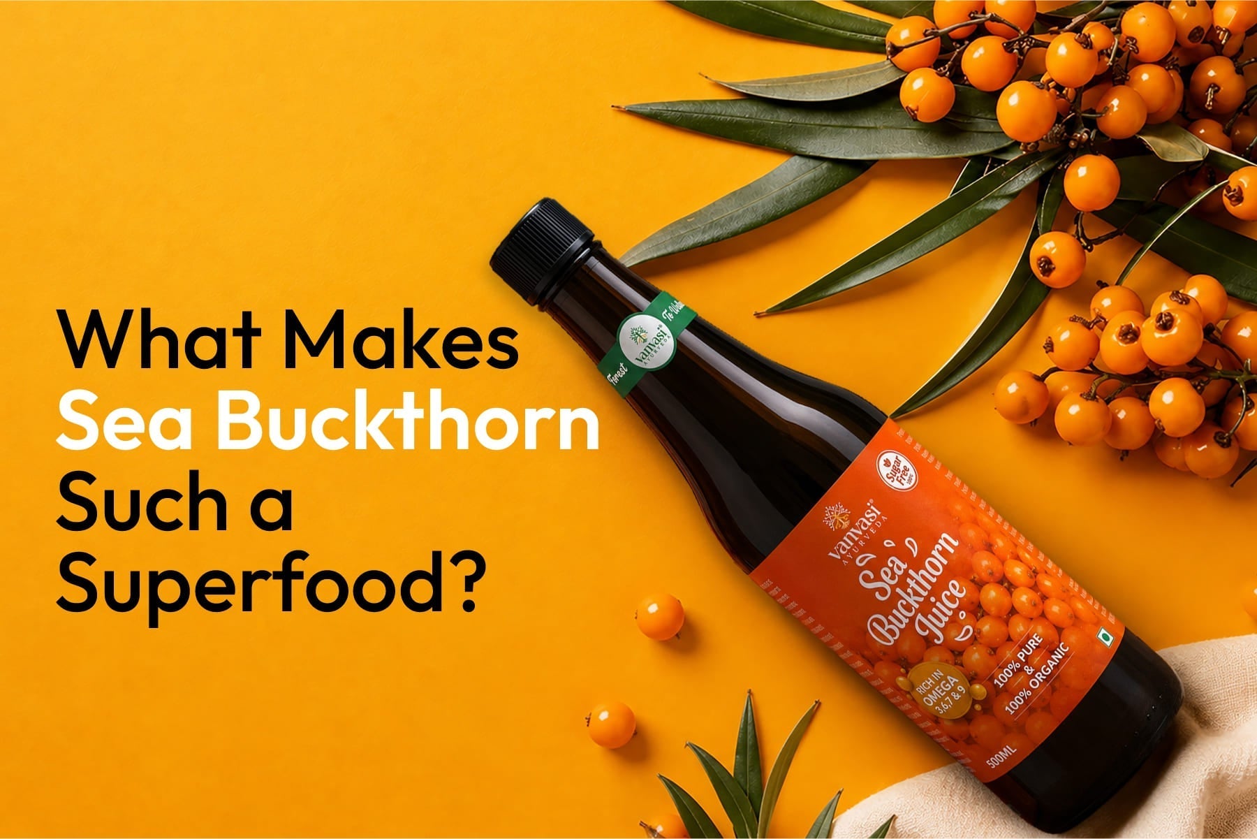 What Makes Sea Buckthorn Such a Superfood?