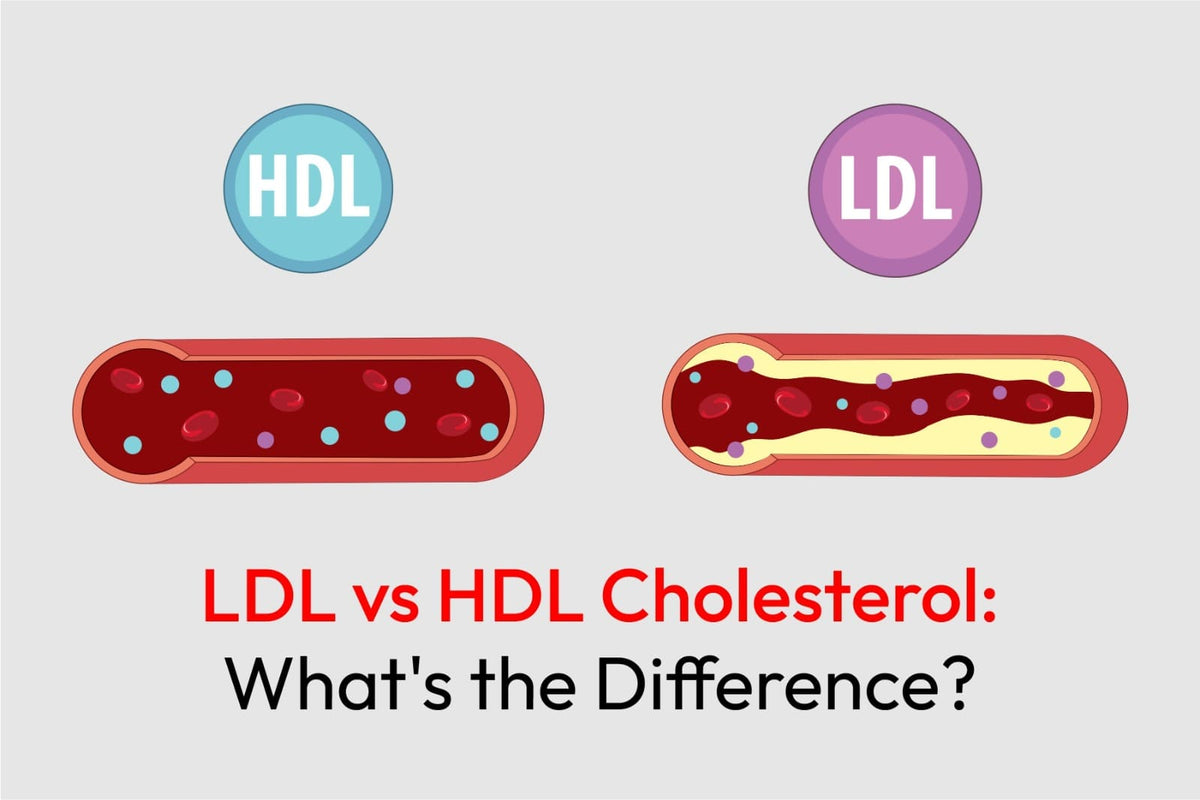 LDL vs HDL Cholesterol: What's the Difference?