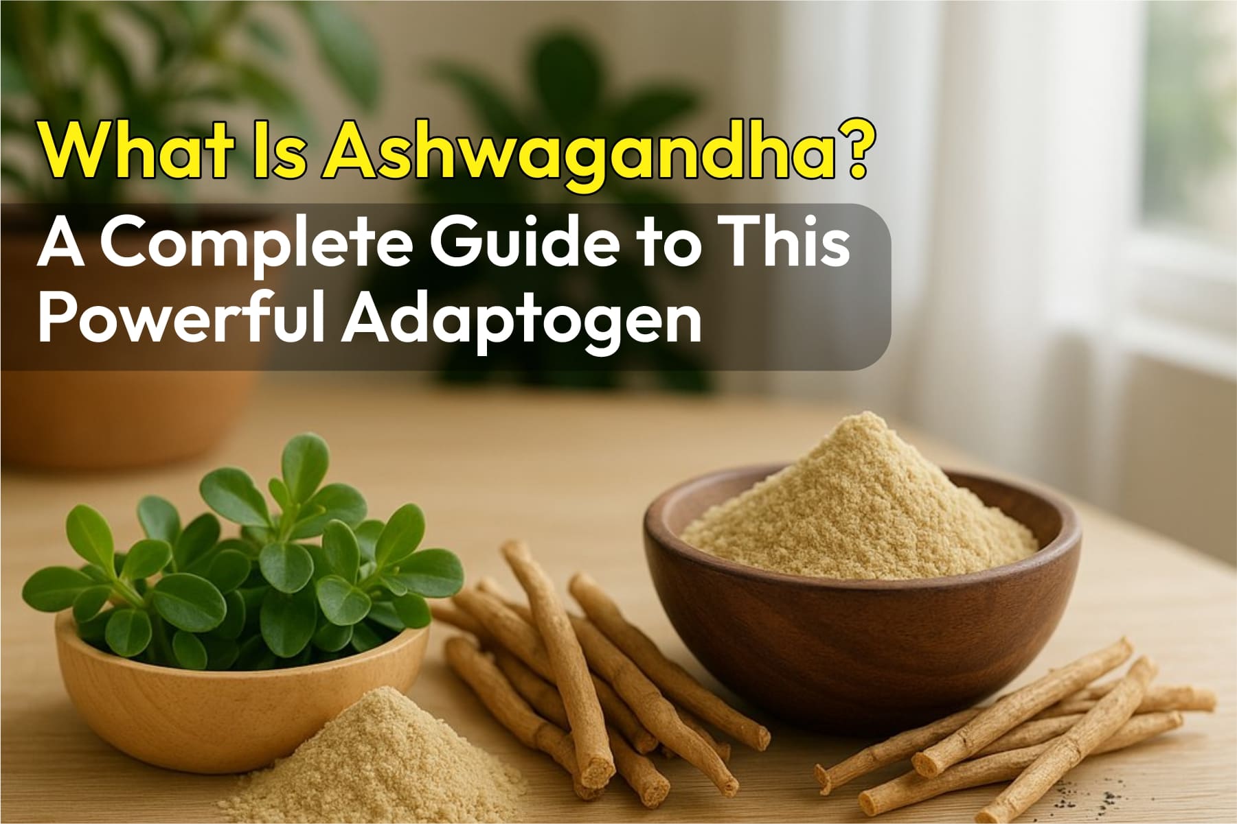 What Is Ashwagandha? A Complete Guide to This Powerful Adaptogen
