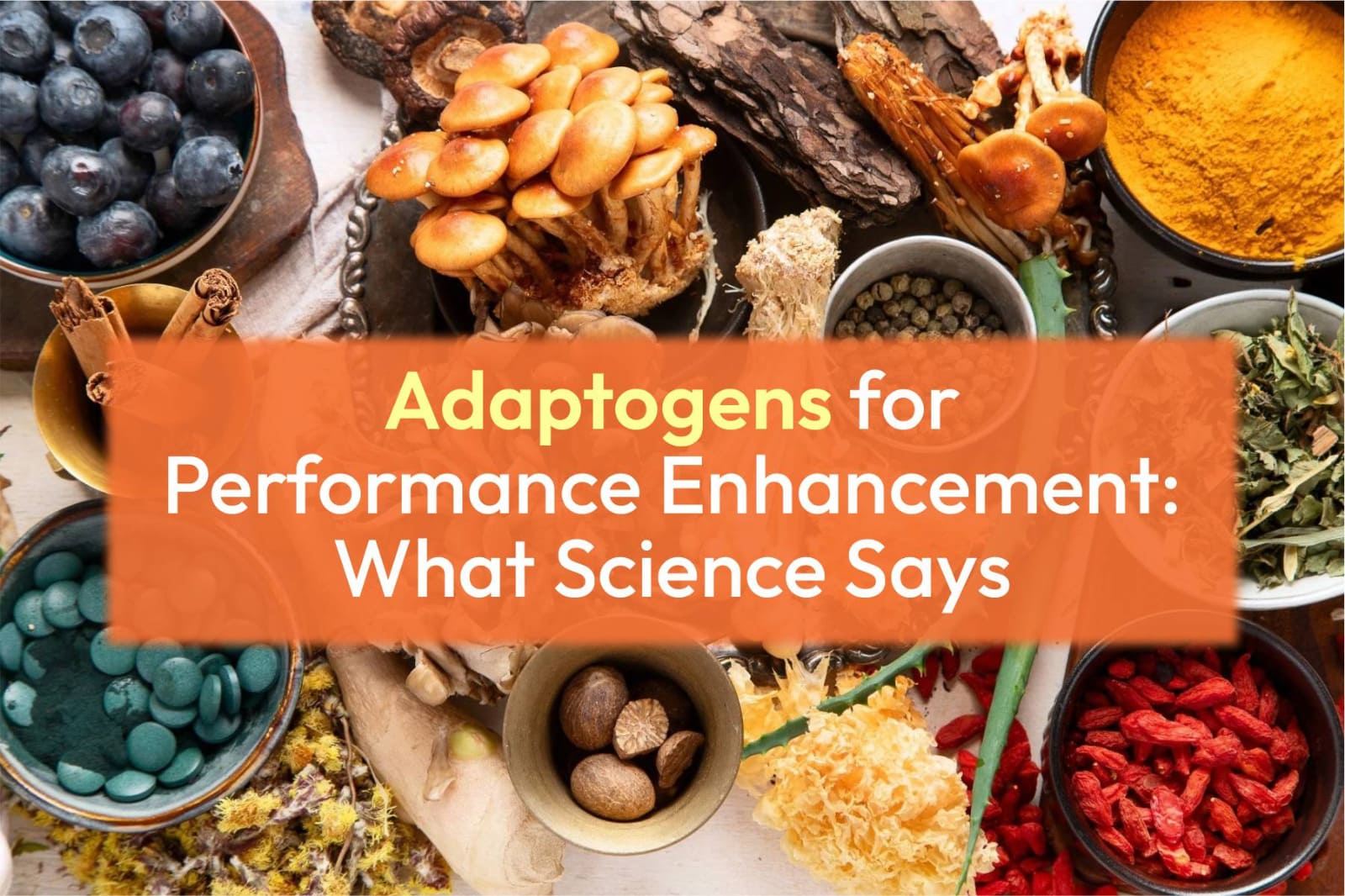 Adaptogens for Performance Enhancement: What Science Says