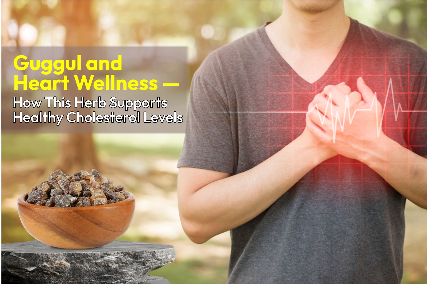 Guggul and Heart Wellness — How This Herb Supports Healthy Cholesterol Levels