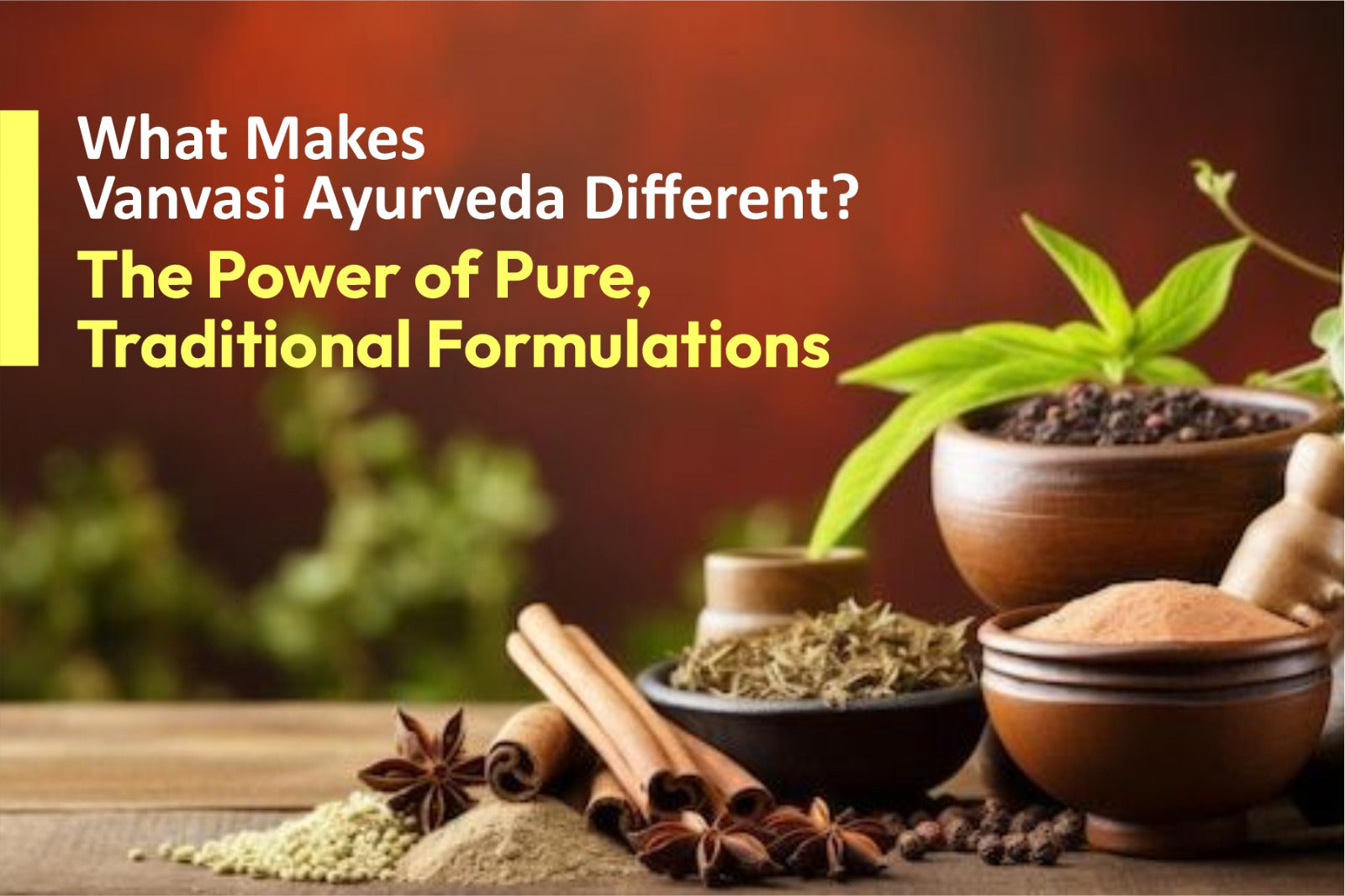 What Makes Vanvasi Ayurveda Different? The Power of Pure, Traditional Formulations