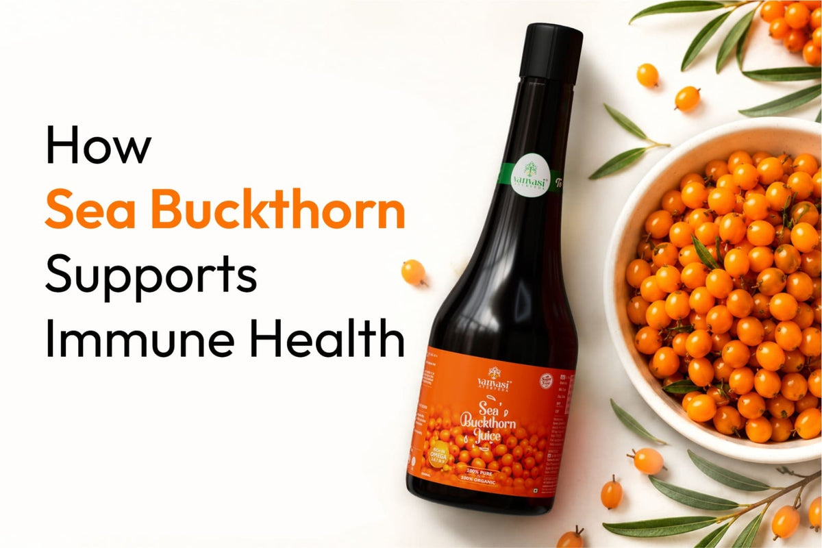 How Sea Buckthorn Supports Immune Health