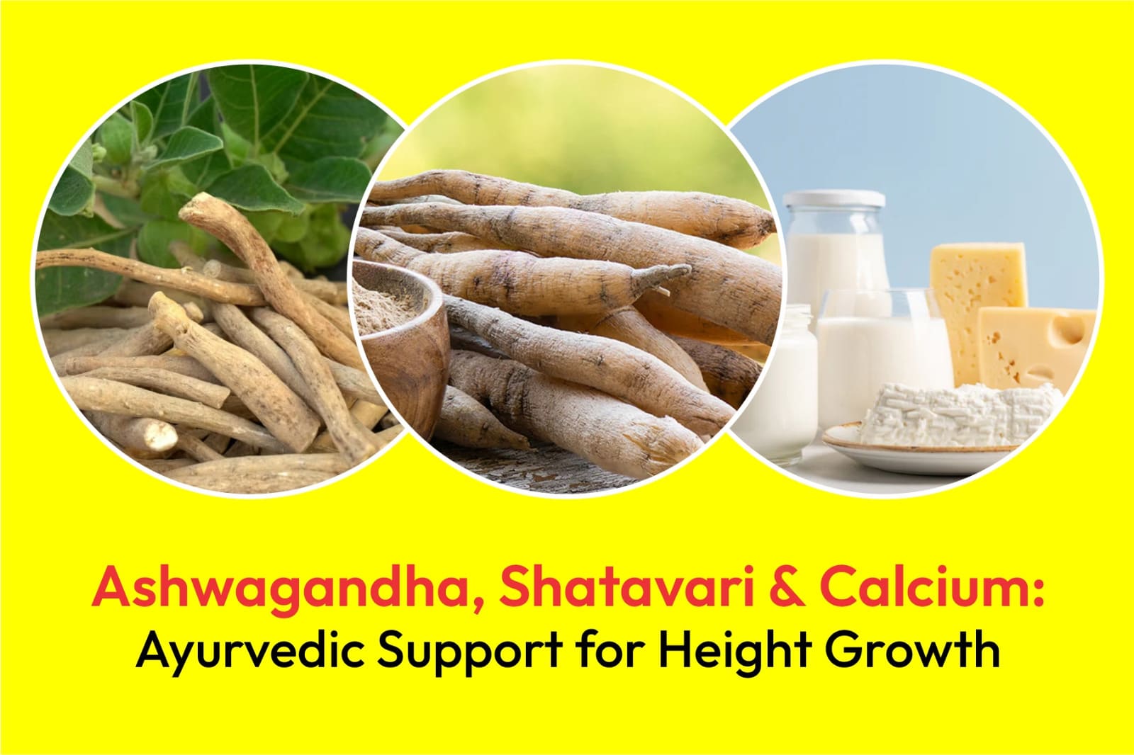 Ashwagandha, Shatavari & Calcium: Ayurvedic Support for Height Growth