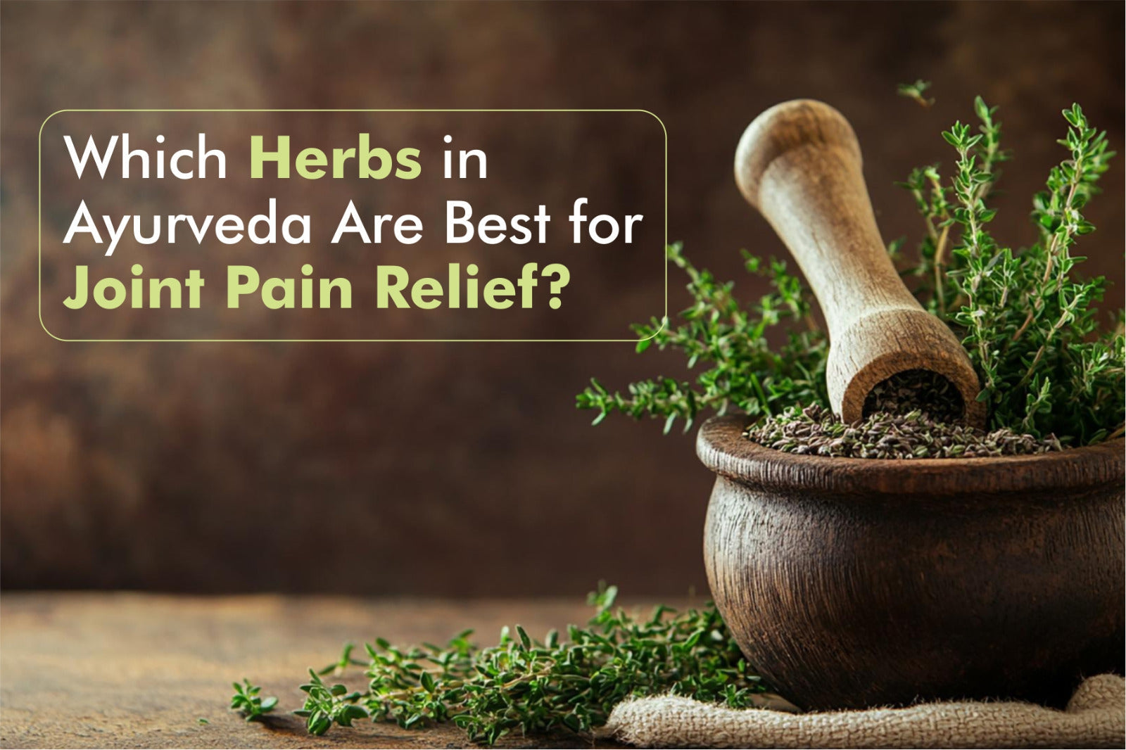 Which Herbs in Ayurveda Are Best for Joint Pain Relief?