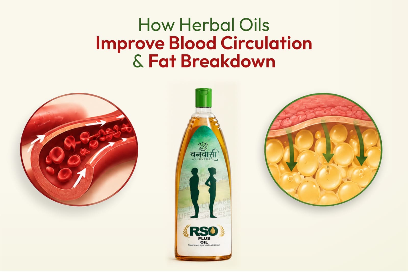 How Herbal Oils Improve Blood Circulation and Fat Breakdown