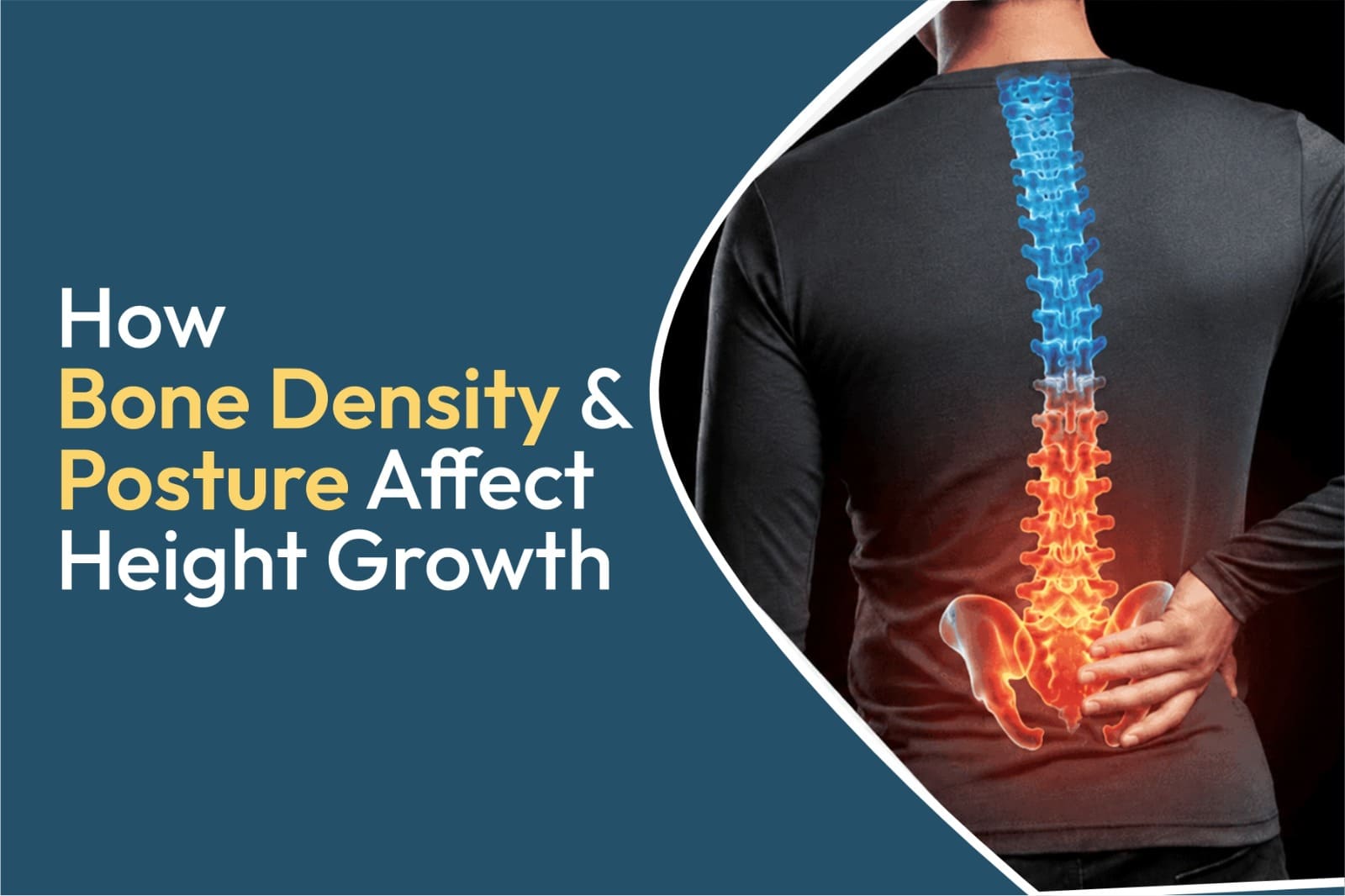 How Bone Density and Posture Affect Height Growth