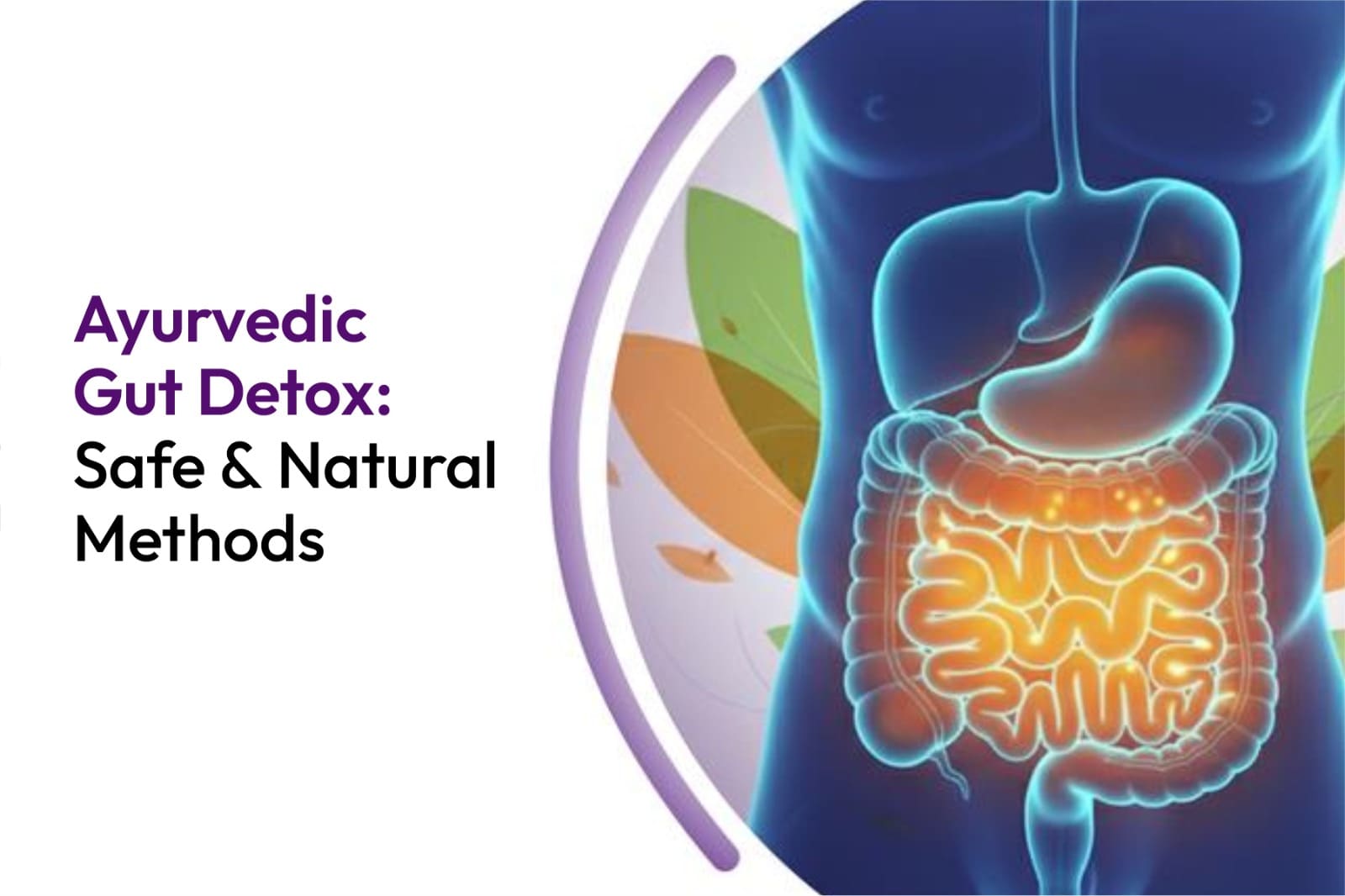 Ayurvedic Gut Detox: Safe and Natural Methods