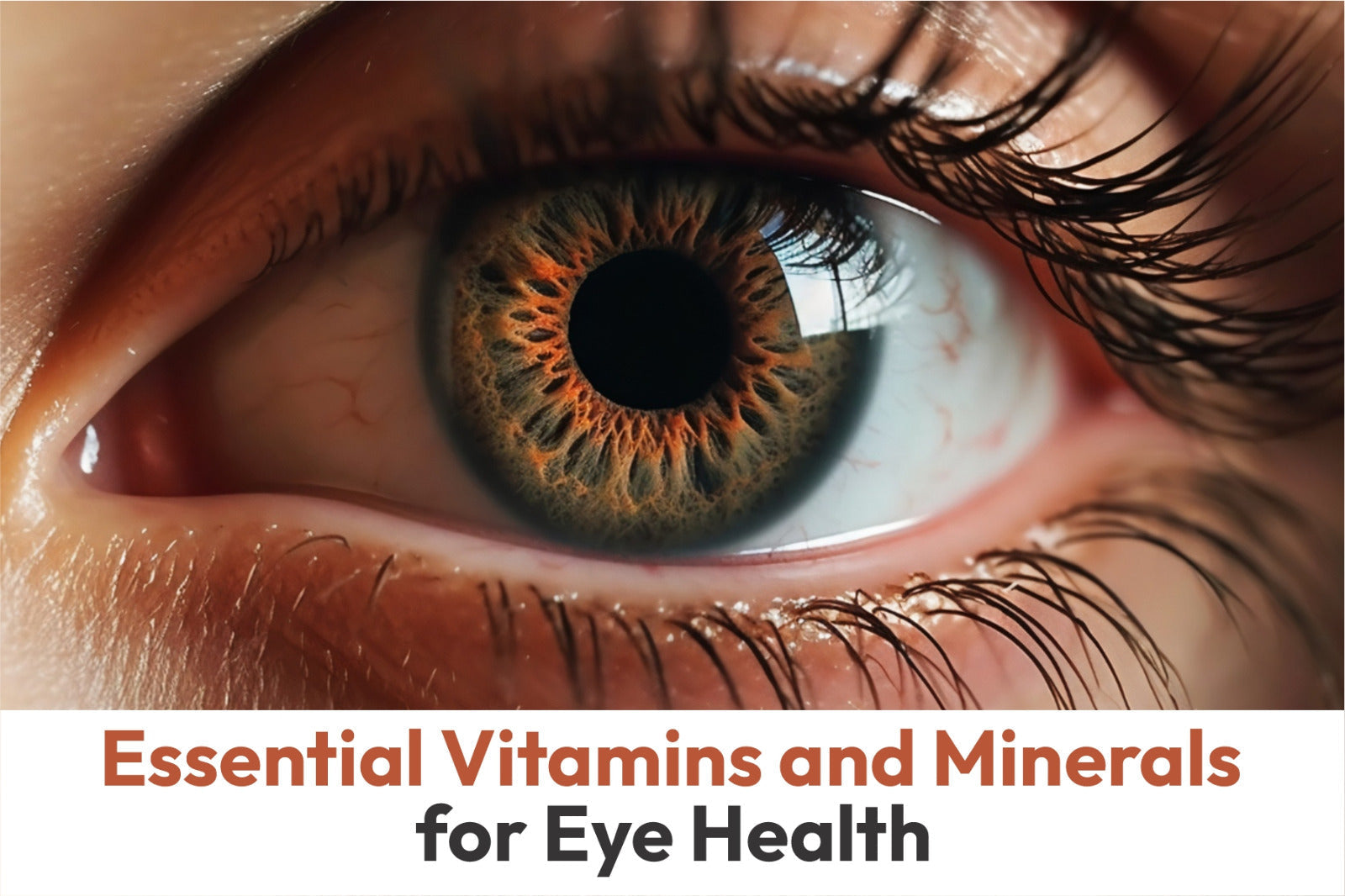 Essential Vitamins and Minerals for Eye Health