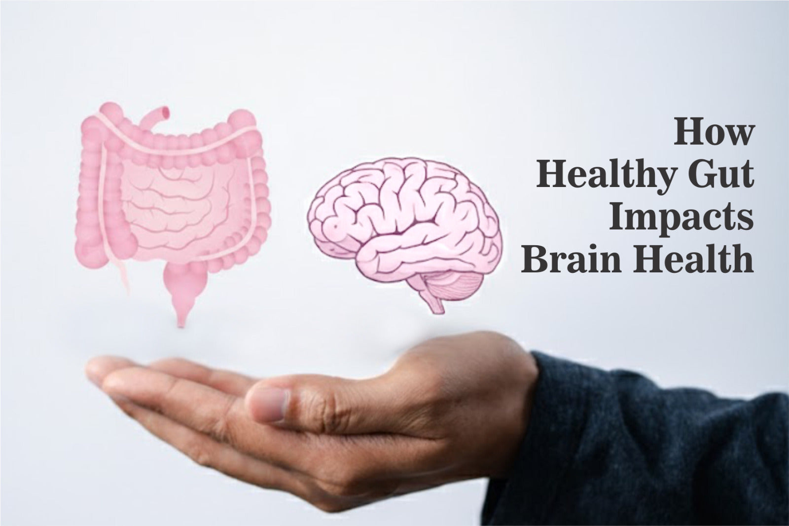 How Healthy Gut Impacts Brain Health