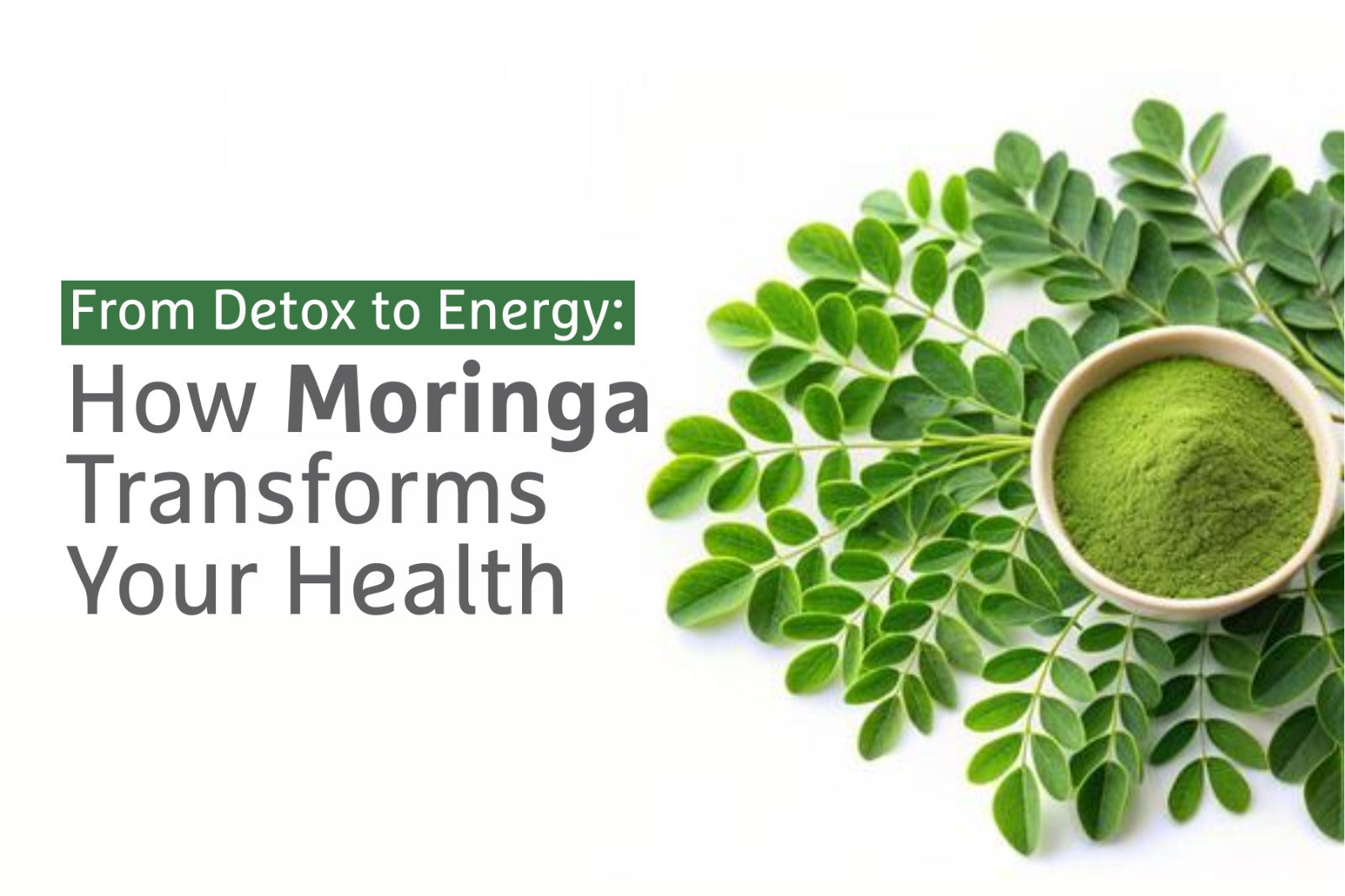 From Detox to Energy: How Moringa Transforms Your Health