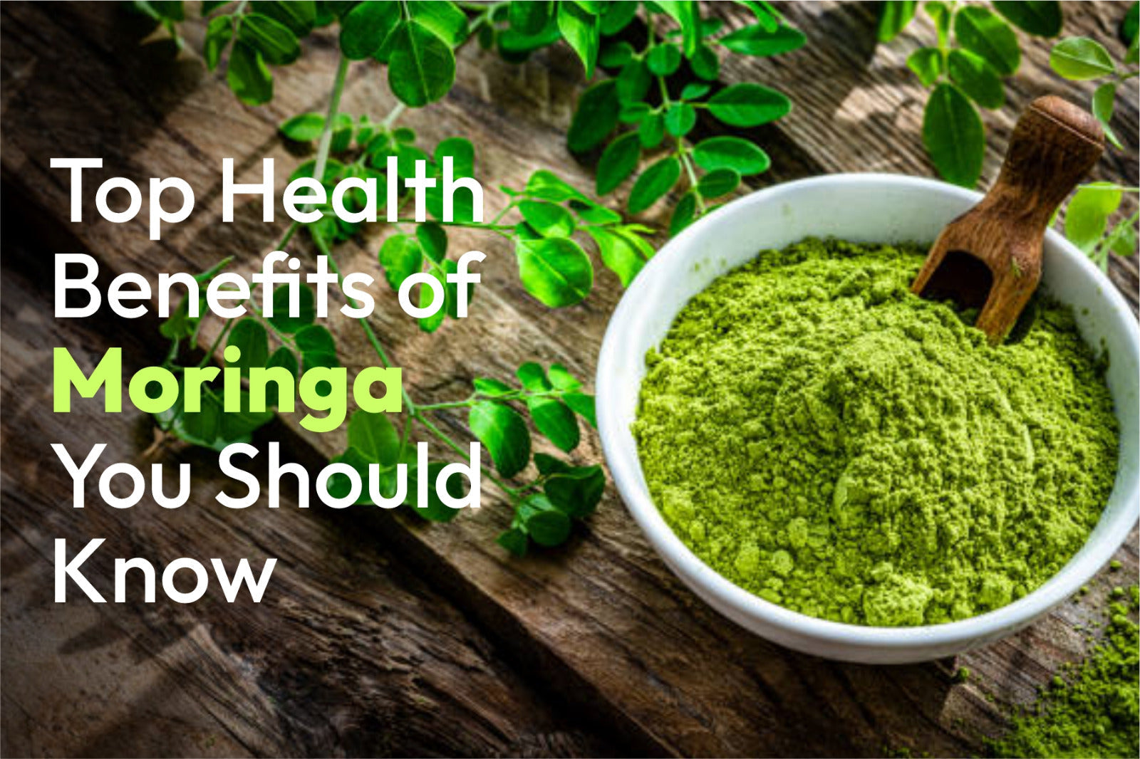Top Health Benefits of Moringa You Should Know