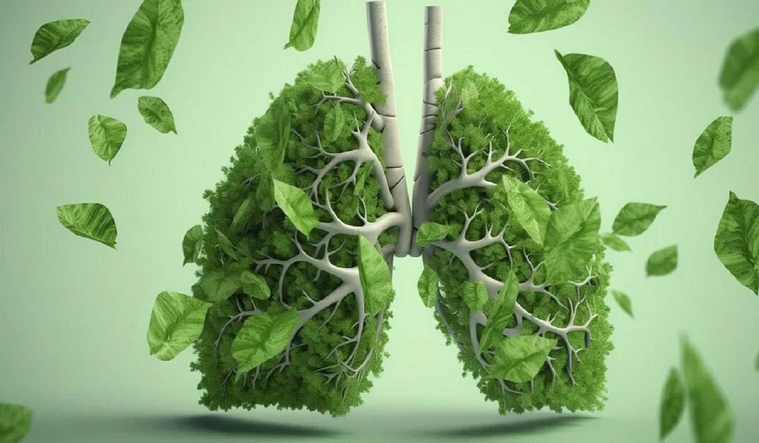 Enhance Your Respiratory Health with Vanvansi Ayurveda's Lungs Detox Syrup