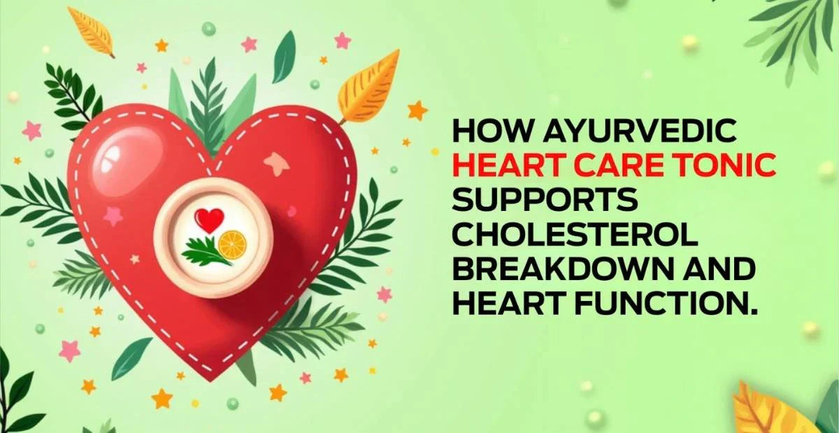How Ayurvedic Heart Care Tonic Supports Cholesterol Breakdown and Heart Function