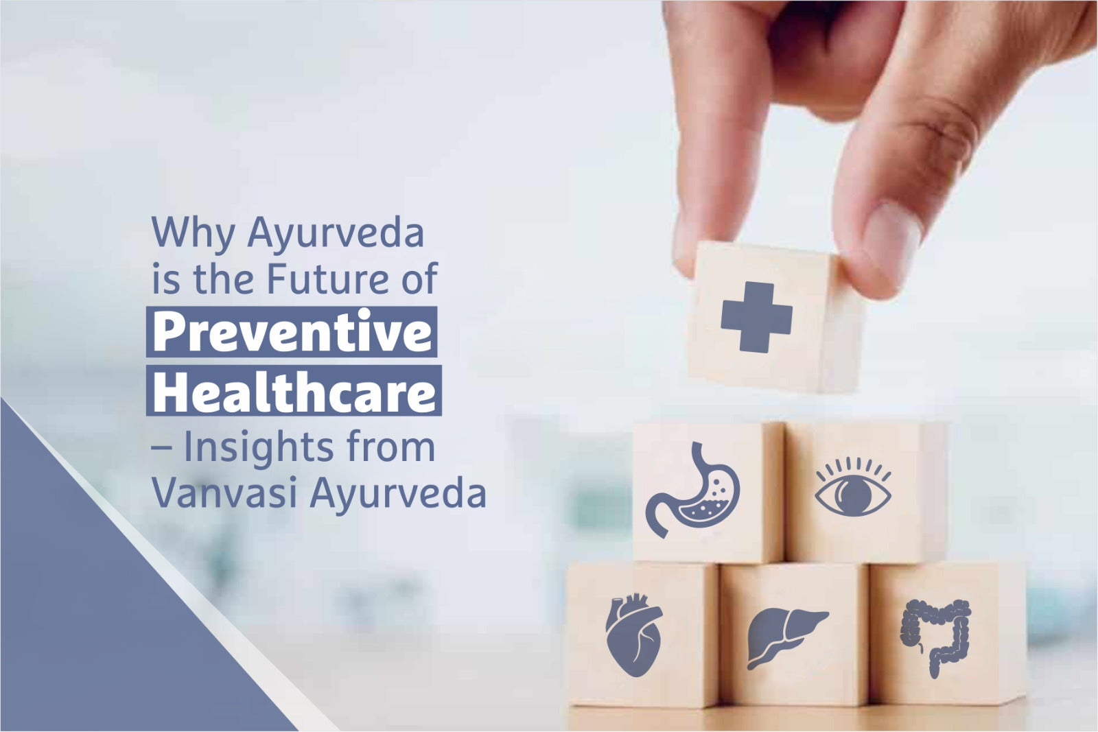 Why Ayurveda Is the Future of Preventive Healthcare – Insights from Vanvasi Ayurveda