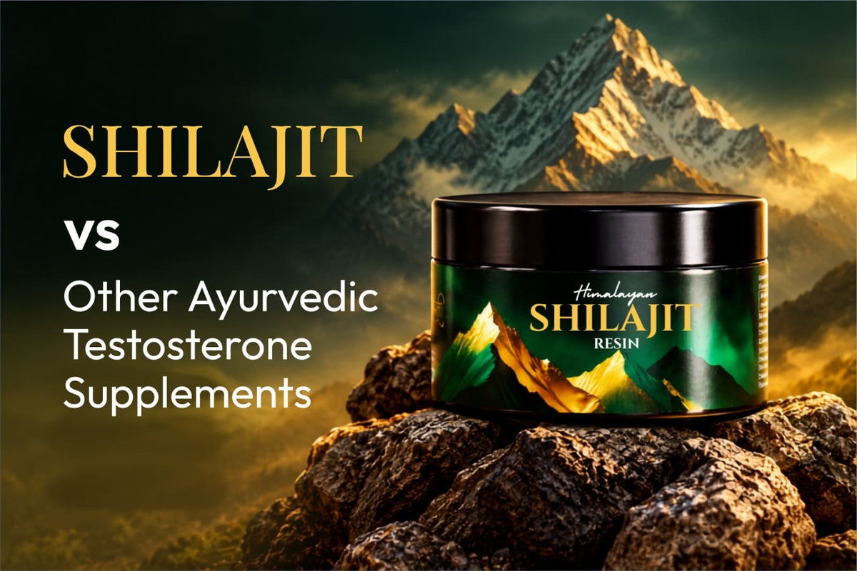 Shilajit vs Other Ayurvedic Testosterone Supplements