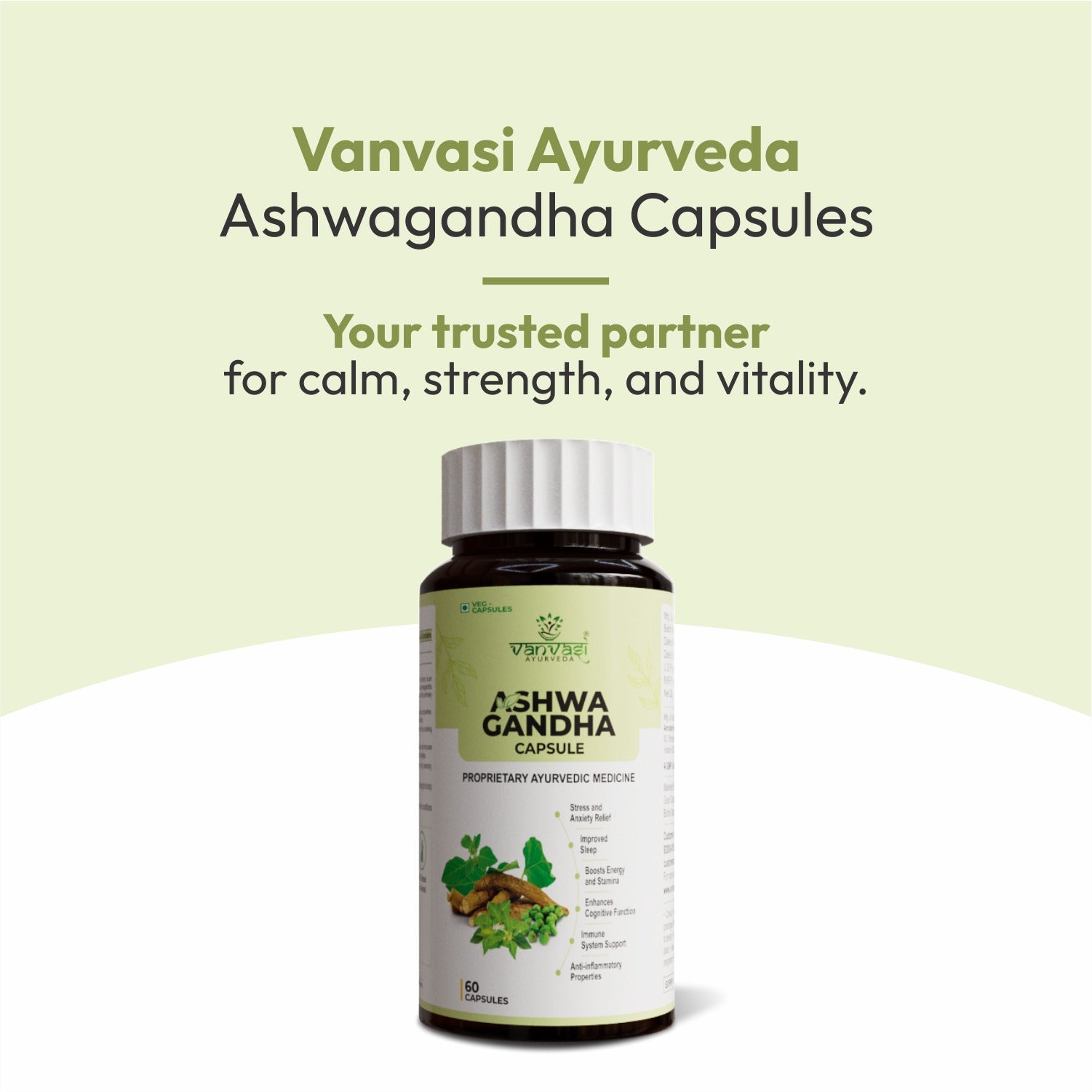 Ashwagandha capsules help reduce stress and anxiety, promote deeper and restful sleep, boosts energy and stamina, and supports a stronger immune system. A natural daily supplement to keep your mind calm, body energized, and overall health balanced.