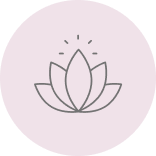 <p>Daily Rituals for Natural Balance</p>