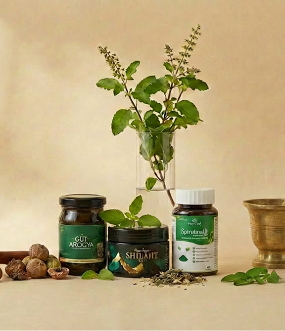 VANVASI AYURVEDA